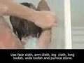 Women vs men in bathroom