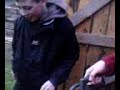 Shane vs Husqvarna 268 chainsaw pt1 Shane vs Husqvarna 268 chainsaw pt1