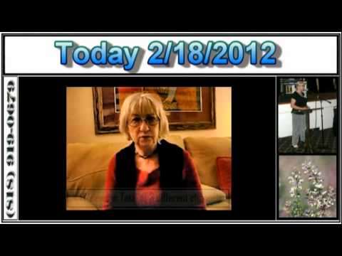 Dorit kashman, ????? ????? Video Testimonial_Retail advertising. Best of the week