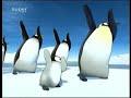 Pigloo JUMPSTYLE Pigloo JUMPSTYLE