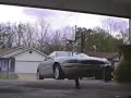Flower Cannon