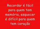 Temporadas das flores - Gabriel Benato