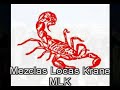 Alegres de la sierra - de rodillas te pido mix