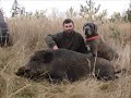 Wild Boar Hunting