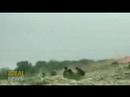Carnage in Kabul