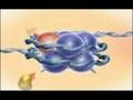 Chromatin, Histones & Cathepsin; PMAP
