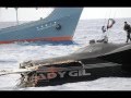 Stop Whaling Video