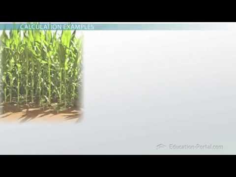 how to determine opportunity cost