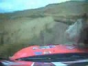Cow Hit by Rally Car Cow Hit by Rally Car