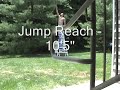 Vertical Jump