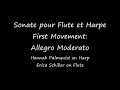 movement 1: allegro moderato

hannah palmquist on harp 
erica schiller on flute

the university of arizona