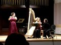 movement 1: allegro moderato

hannah palmquist on harp 
erica schiller on flute

the university of arizona