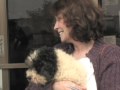 Shawnee News-Star hosts adoption event