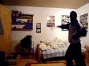 the funyn crazy dance by tobias