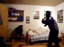 the funyn crazy dance by tobias