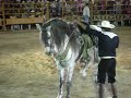 el tlacuache campesino- joan sebastian