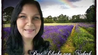 Elsabe van Niekerk: Ons groet jou - 'n huldeblyk