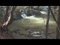 Vitosha - Plana