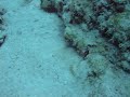DSCF1819