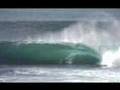 No Friends Bodyboard - Recognize The Enemy - Shark Island -
