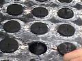 Starts for Aeroponics