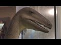 Museum of Natural History
