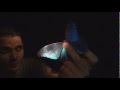Blue morpho butterfly