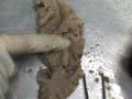 Clase de anato - corte de Fleshing
