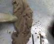 Clase de anato - corte de Fleshing