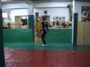 Tecnicas y formas de kung-fu y kenpo 2� parte