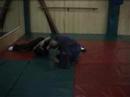 Tecnicas y formas de kung-fu y kenpo 2ª parte