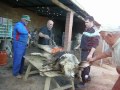 matanza_gorrino_yuste-guijarro_03