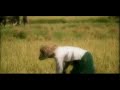 the video of lemongrass 