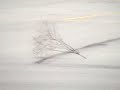 Tumbleweeds!!