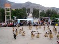 carapachos sr