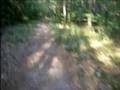 Elmsley - Sept 2008 - Running in the Massabesic Woods - Part 2