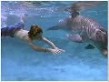 Flipper Flipper