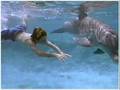 Flipper