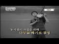 안성의 혼령이 깃든 나무