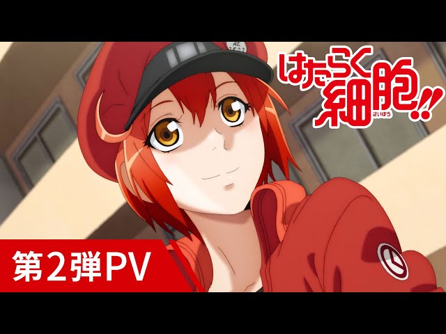 YouTube Player