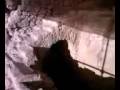videos de MORGANTINA FORNACE AIDONE ENNA SICILIA VENERE DI MALIBU' ZONA ARCHEOLOGICA CONDUTTURE ACQUE REFLUE