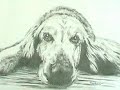 BUENOS NEGOCIOS.ARTE BELLO-VENTAS.sofia.cuadros@hotmail.com