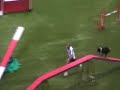 Agility Italia Ind.Large-Bertuletti Ezio & Cruz