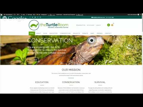 YouTube reptile video