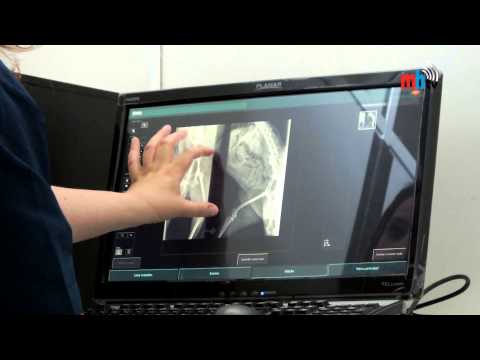 Clínica Veterinária do Castêlo