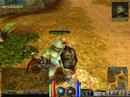 priston pets