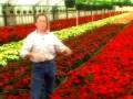 videos de Cedar Lane Farm-Poinsettia Farm Success Story