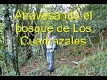 La Mota Cet�n -26-09-08- (Asturias)