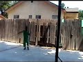 ShohnnyBravo's version of Ying Jow Pai's Long Staff