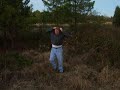 Limb Break after tire rolling Limb Break after tire rolling
